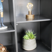 Spacious upright display cabinet featuring glass panels on the front, 190cm high, 95cm wide, 34cm deep, total weight 40kg.