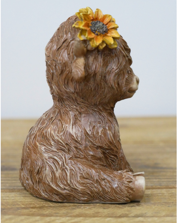 SITTING HIGHLAND COW