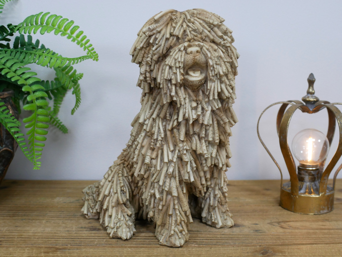 SHAGGY DOG SITTING