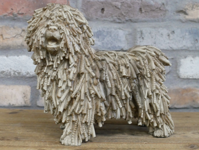 SHAGGY DOG