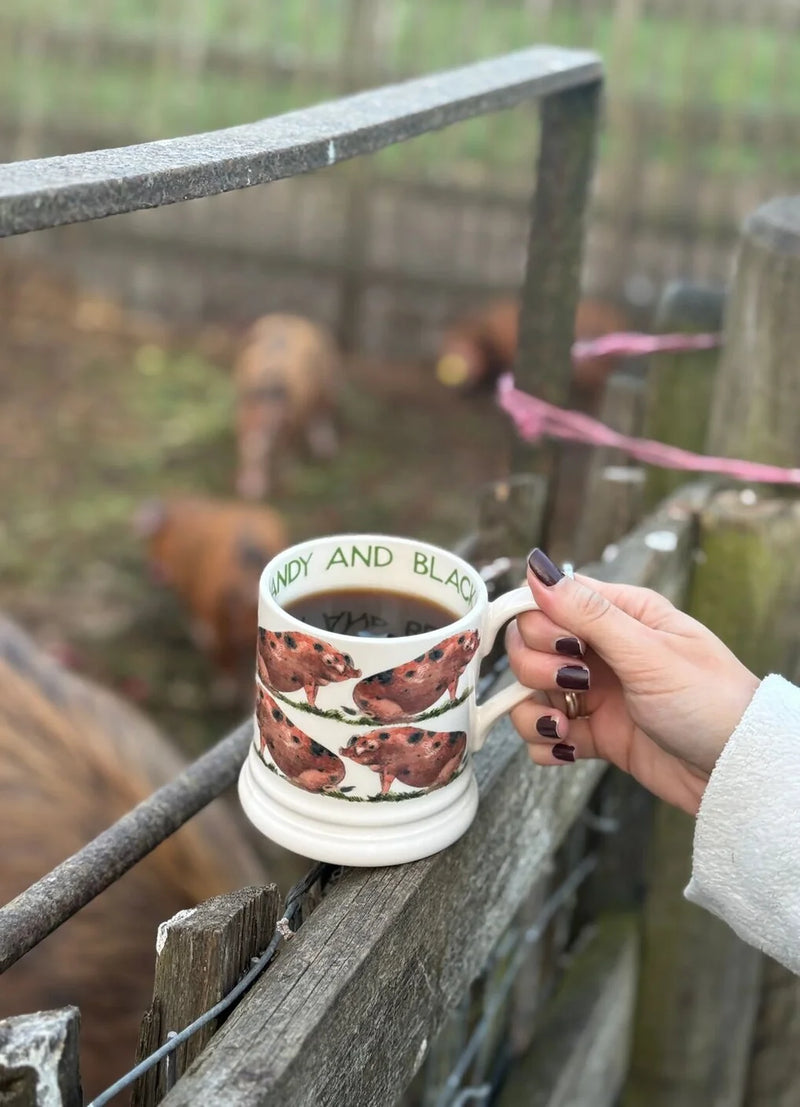 OXFORDSHIRE SANDY & BLACK PIG 1/2 PINT MUG