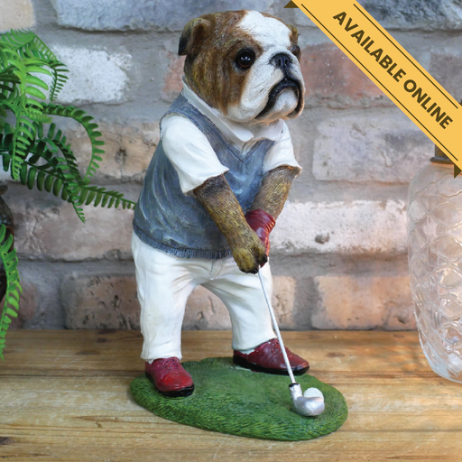 Decorative bulldog golfer statue, H:29cm W:20cm D:13cm, Weight:1.08kg.