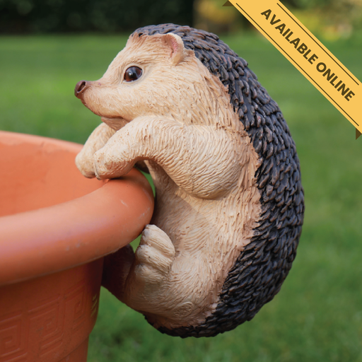 Decorative hedgehog pot hanger, H:12cm W:9cm D:9cm, Weight:0.24kg.