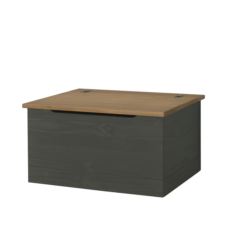 GRAPHITE Storage Trunk