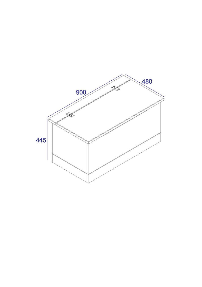 GRAPHITE Storage Trunk