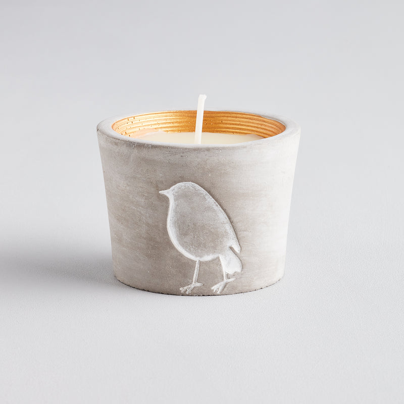 St Eval Inspiritus Robin Candle