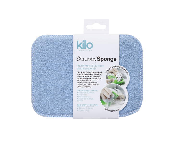 Mr Scrubby Sponge