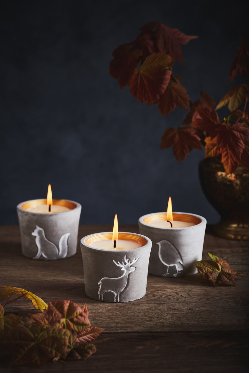 St Eval Inspiritus Fox Candle