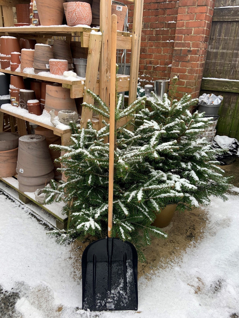 Snow Shovel IT