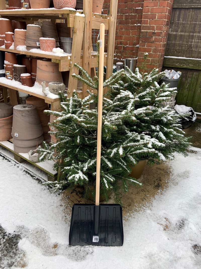 Snow Shovel - Wide
