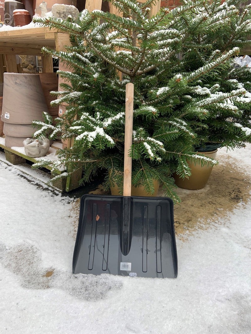 Snow Shovel - Short